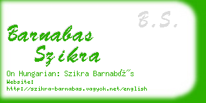 barnabas szikra business card